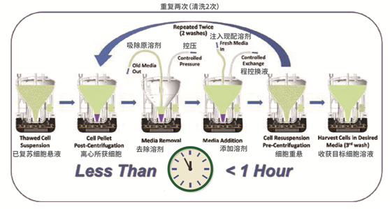 QQ图片20180508102820.png