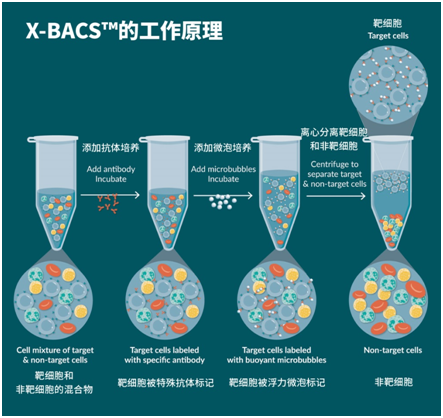 QQ图片20180524125630.png