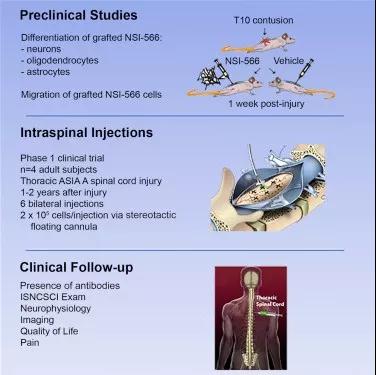 1528340527920880F72B.jpg 1528340527920880F72B.jpg