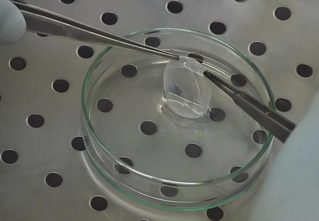 1529571001567546F3A6.jpg 1529571001567546F3A6.jpg