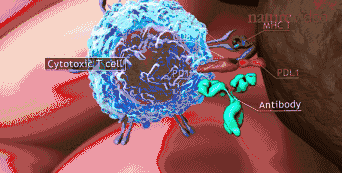 15307646463708901ABA.gif 微信图片_20180705122134.gif