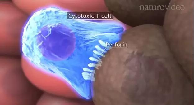 15307646537884283AF5.jpg 微信图片_20180705122130.jpg