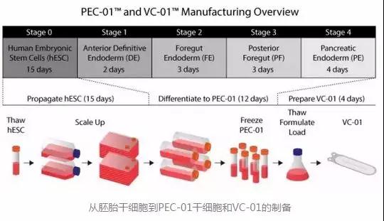 153147068512405281B2.jpg 微信图片_20180713162823.jpg