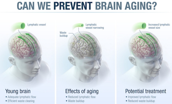 15329230378498779858.jpg 201807261608008733.jpg