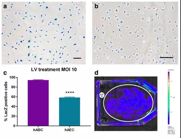 15336154063523444AAA.jpg 微信图片_20180807121522.jpg
