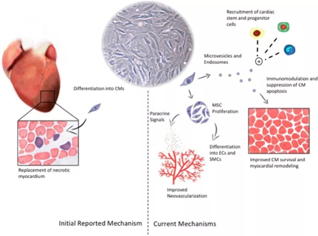15347342533096997B35.jpg 15347342533096997B35.jpg