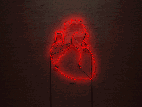 15354350267157906908.gif 微信图片_20180828133905.gif