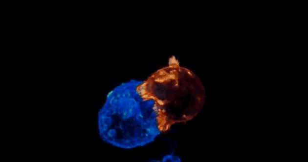 微信图片_20190508142348.gif