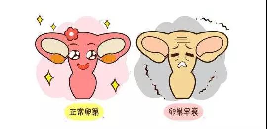 微信图片_20190514173307.jpg