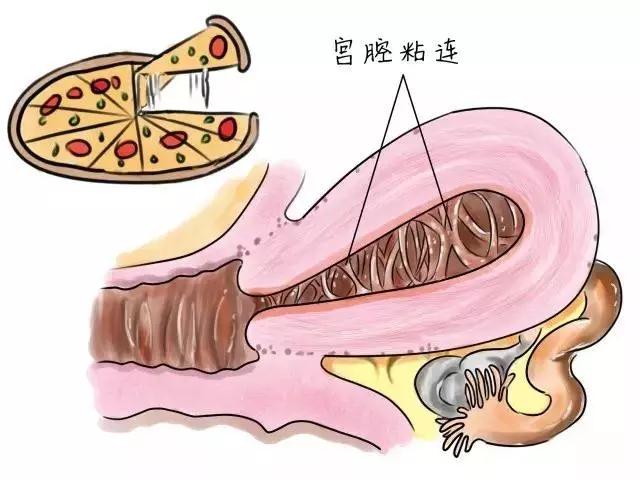 微信图片_20190514173345.jpg