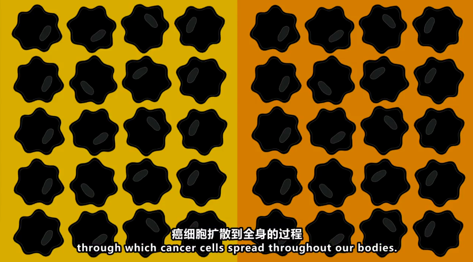 7.png