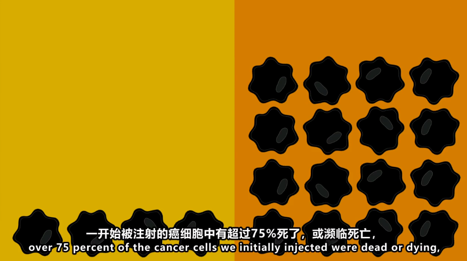 8.png