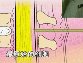 5.gif