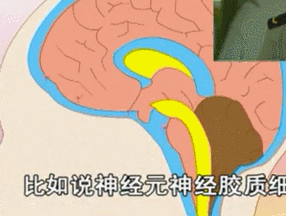 6.gif