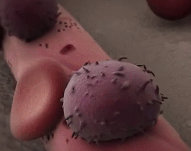 2.gif