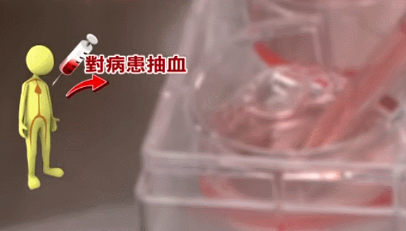 3.gif