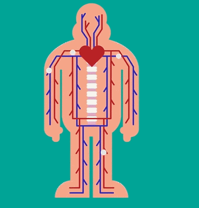 2.gif