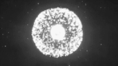 222.gif