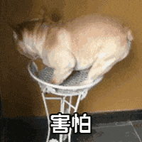 2.gif