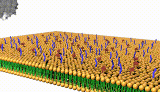 4.gif
