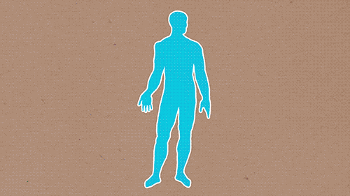 4.gif