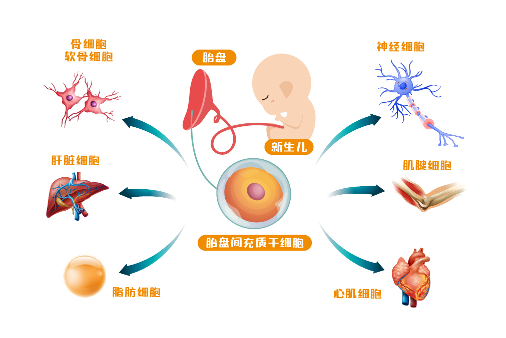 最新官网图片尺寸-04.jpg