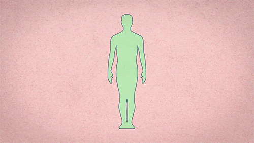 4.gif