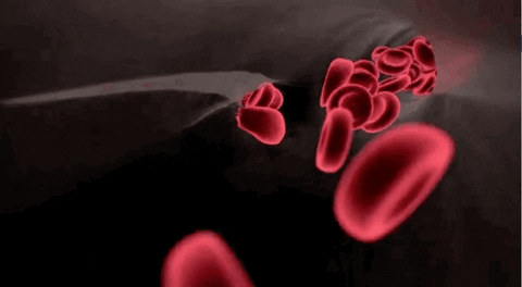 微信图片_20221020093503.gif