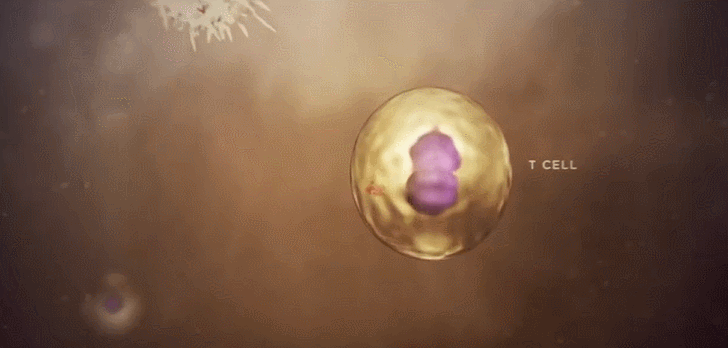 微信图片_20221208094642.gif