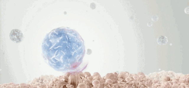 1676859163998681E4E1.gif 微信图片_20230220100259.gif