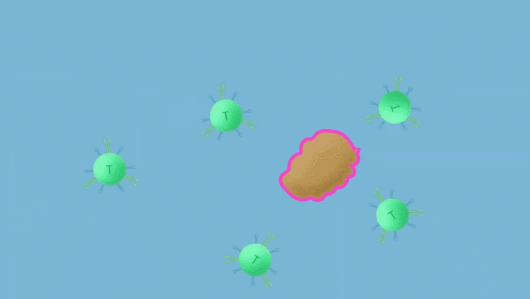 16768592061146238E80.gif 微信图片_20230220100306.gif