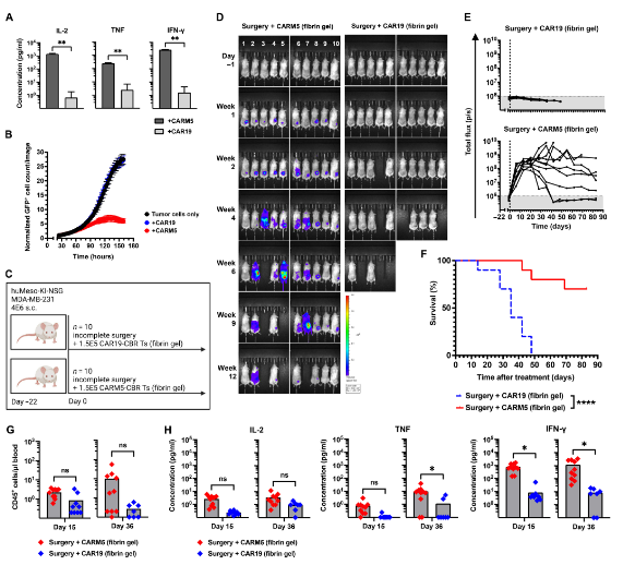 1677722120117709B519.png 微信图片_20230302093258.png