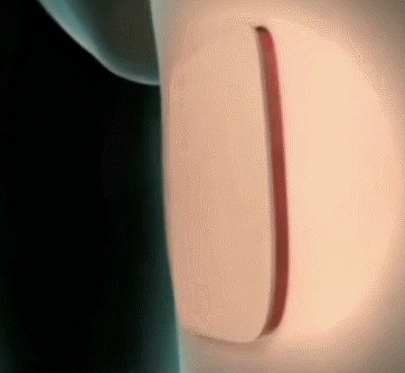 16813509599346935FA6.gif 微信图片_20230413093726.gif