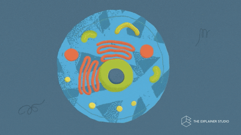 1681351048120734BA48.gif 微信图片_20230413093745.gif