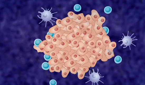 1681697465133019AF0A.gif 微信图片_20230417095707.gif