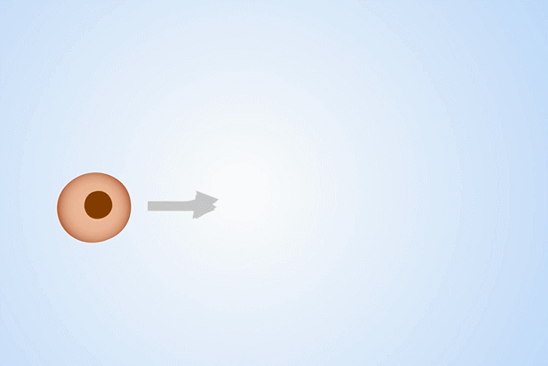 3.gif