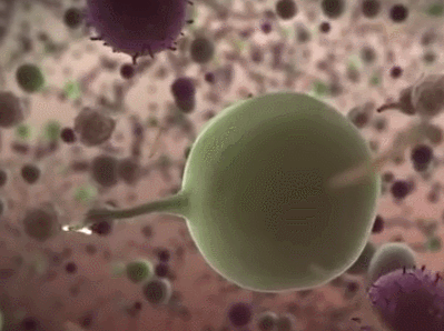 5.gif
