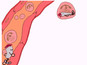 16899095545667286685.gif 2.gif