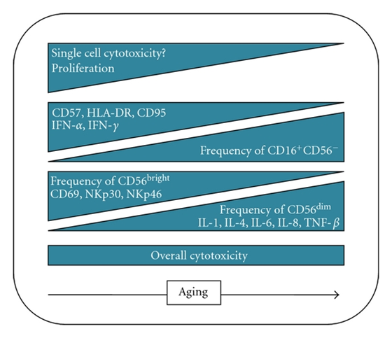 16899095631399268A2B.png 3.png