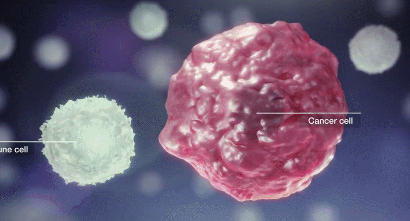 1689909577824230C0FB.gif 4.gif