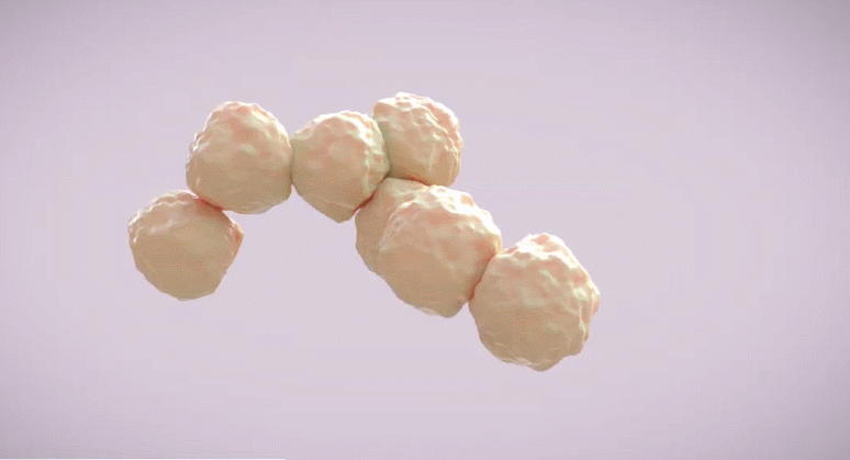 16903340205583374F53.gif 2.gif