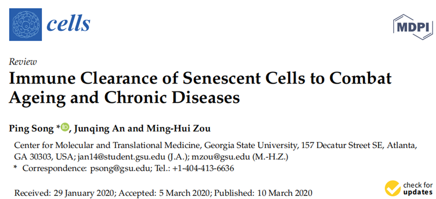 1690426993136126FA18.png 2.png