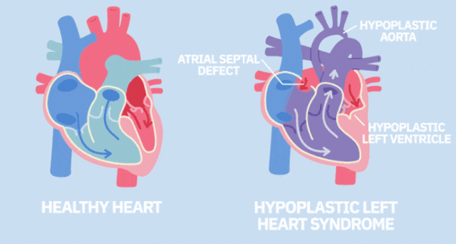 16904270212112436680.gif 4.gif