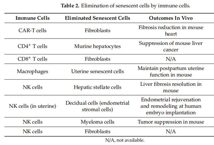 1690427051139633DAD7.png 6.png