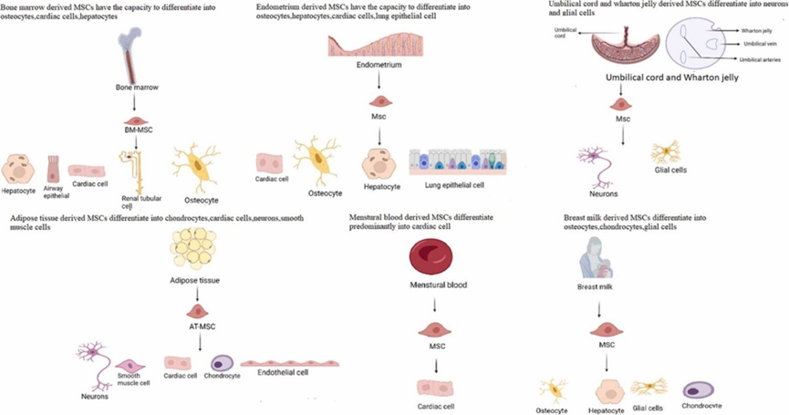 1690855518103693B34D.png 2.png