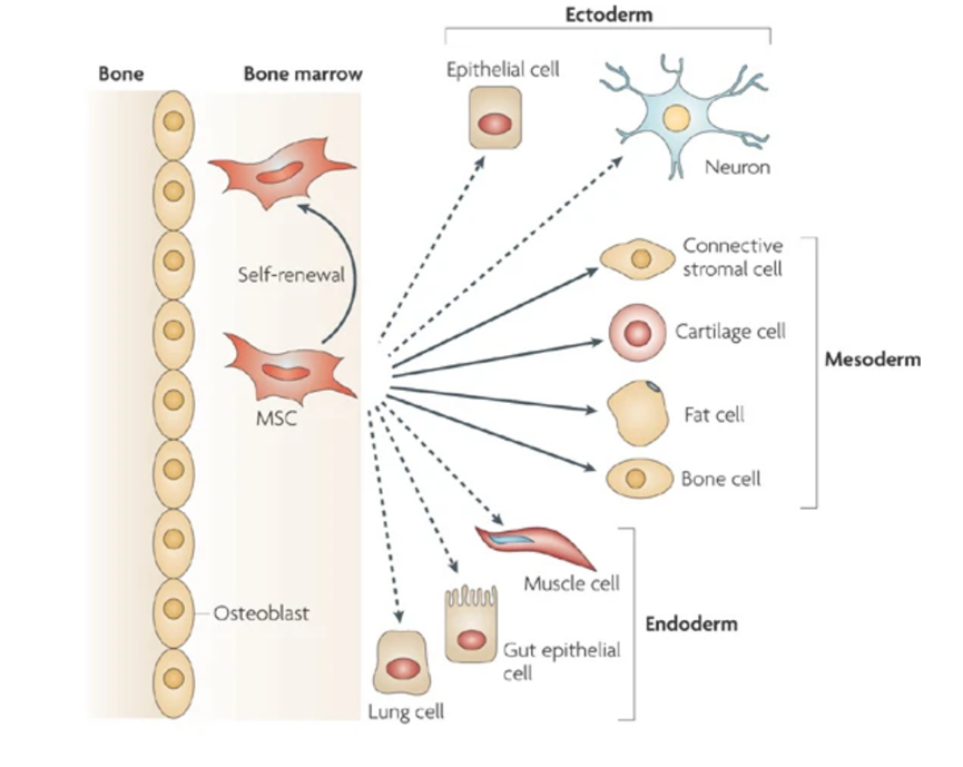 1690855534138695F1FD.png 3.png