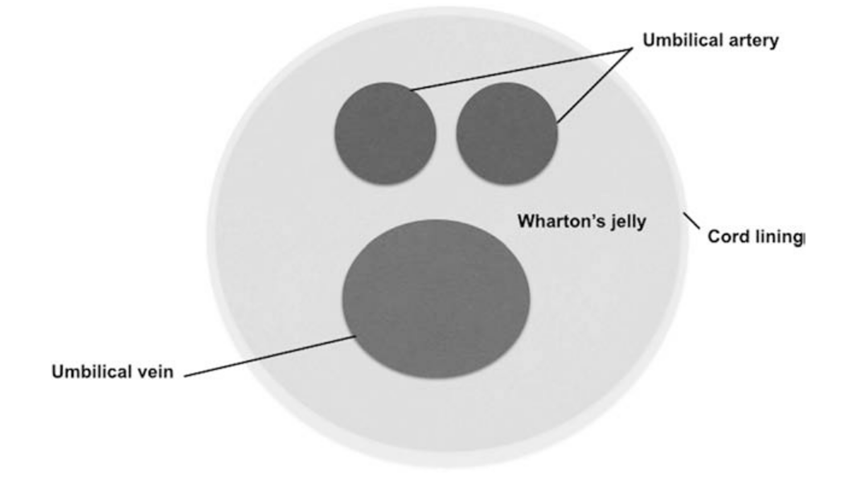 169085555212520037E1.png 4.png