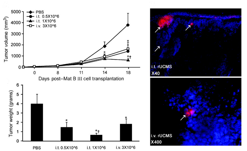 1690855560721987585A.png 5.png