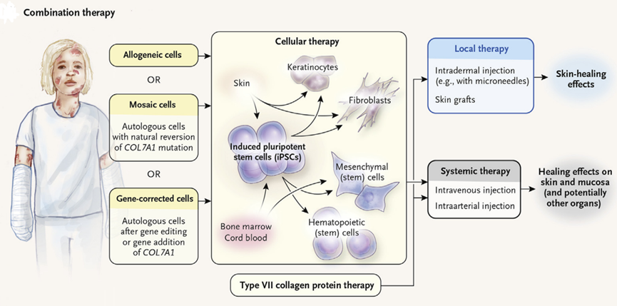 16908555785869969DFF.png 6.png