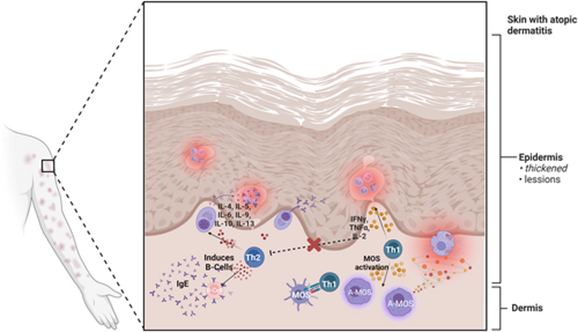 1690959676220365p92C.png 3.png